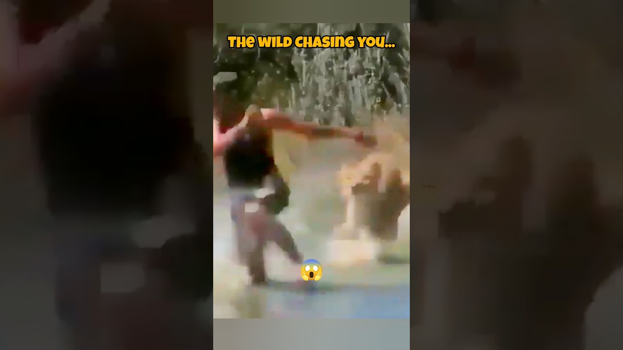 Lion Attack: Man Runs for His Life in Wild Chase &ndash; Unexpected Twist!