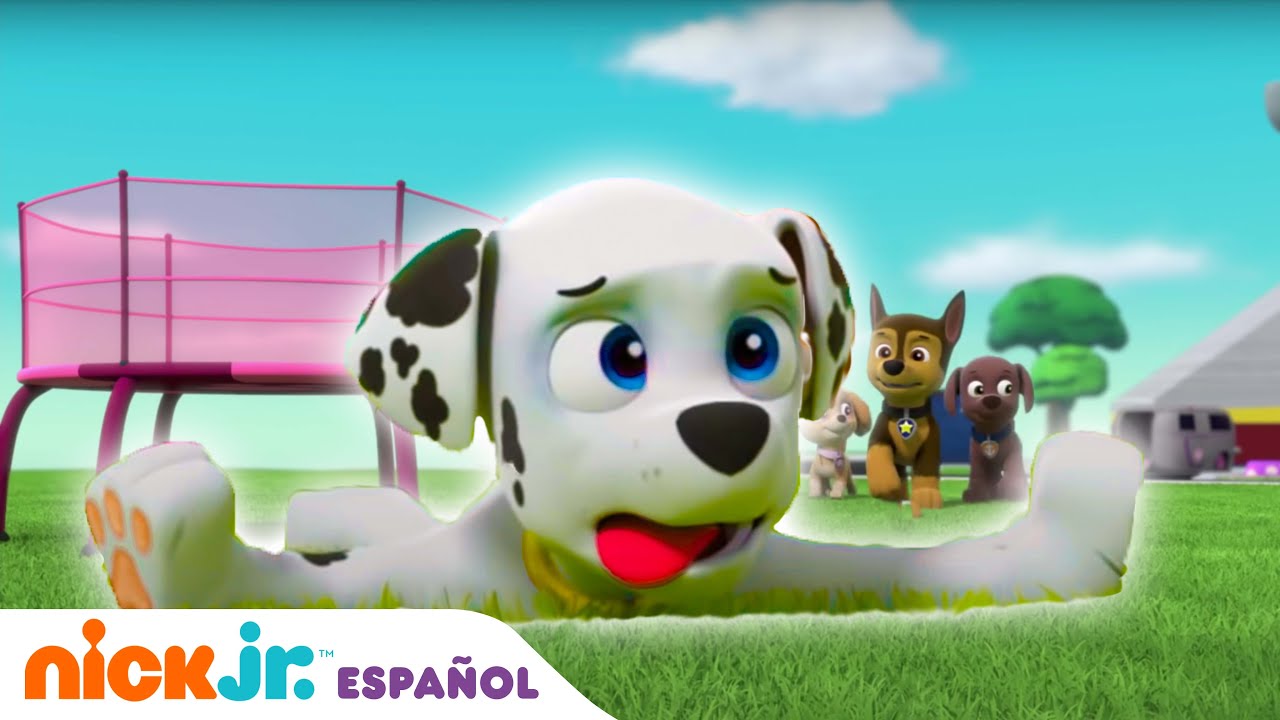 PAW Patrol | ¡Día superdivertido, arriba, arriba y vamos! | Nick Jr. en Español