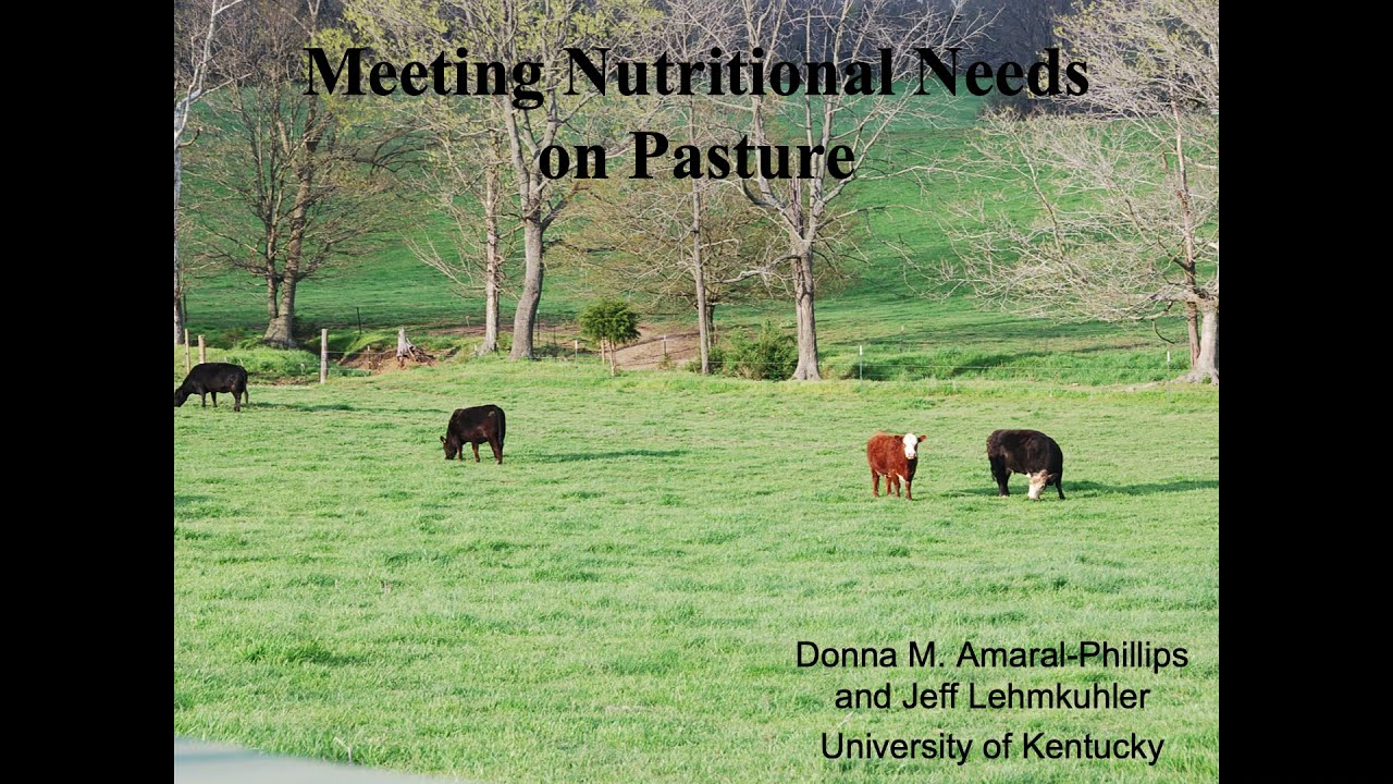 Meeting Nutritional Needs on Pasture-Donna Amaral-Phillips