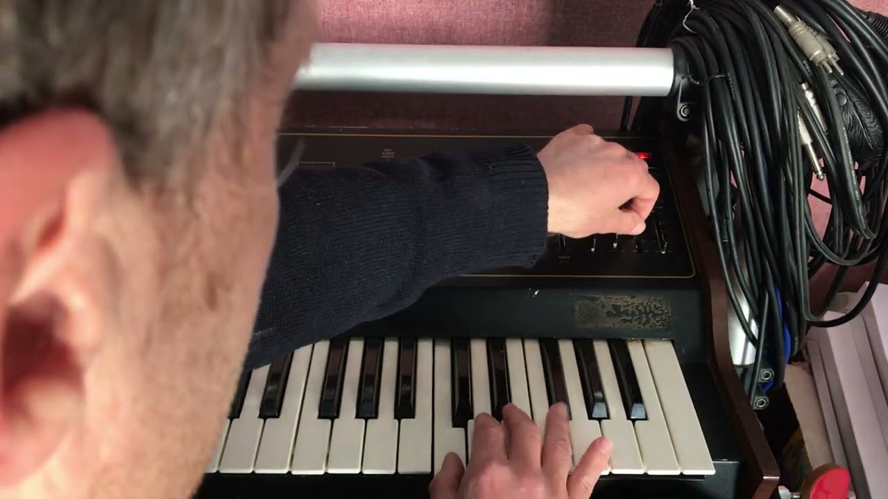 Arp Axxe Model 2311 Demo (For Sale)