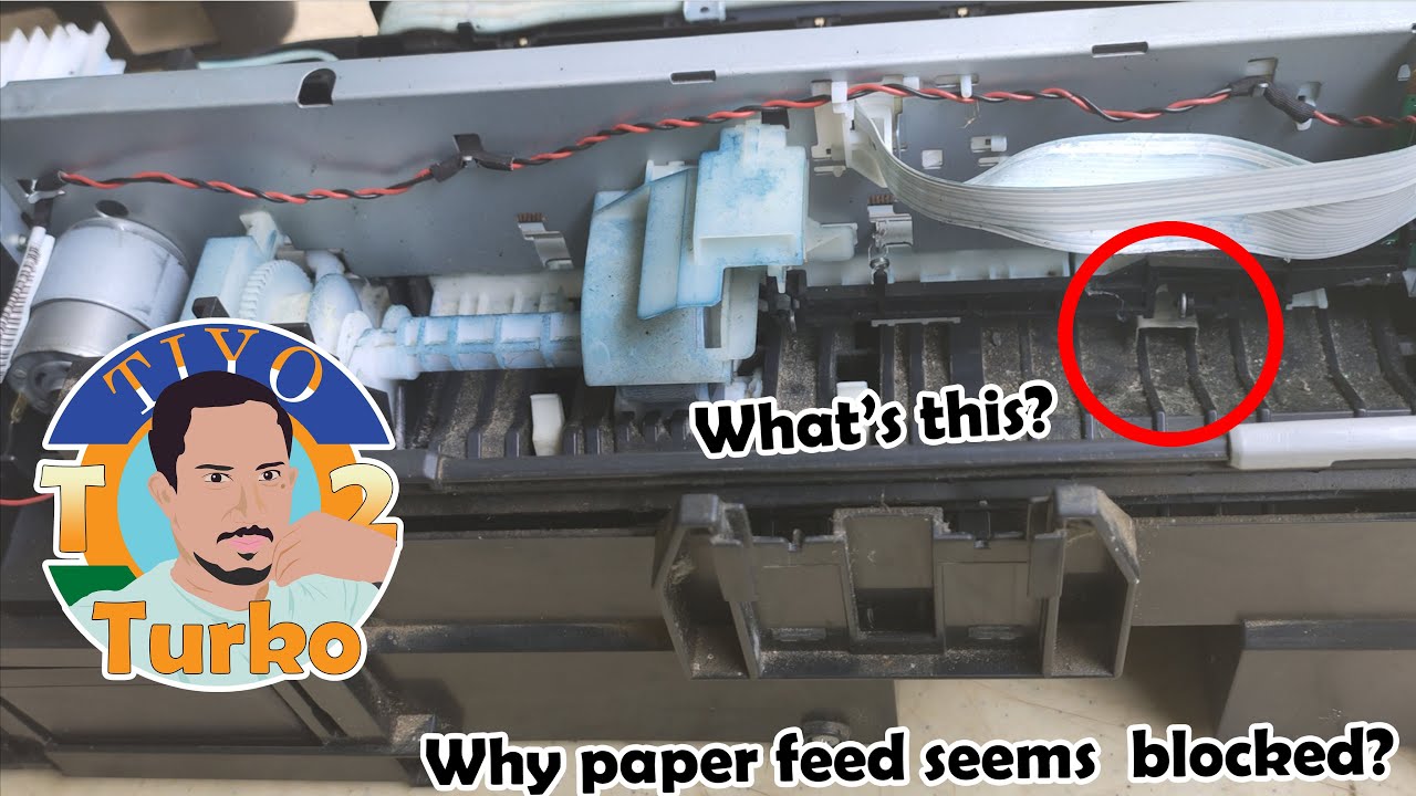 Tips and Fixes that You Should Know about Paper Feed Failure with Crumpling Paper