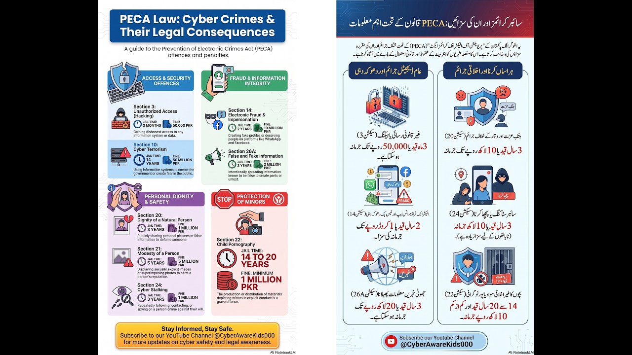 PECA (Prevention of Electronic Crimes Act) - Urdu
