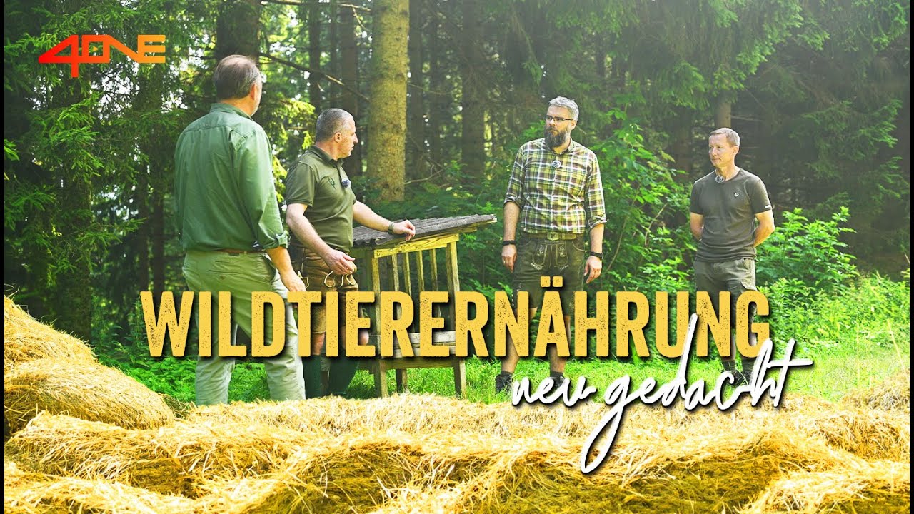 Wildtierernährung neu gedacht – Gewinnung und sensorische Beurteilung von Rehheu - TEIL 1