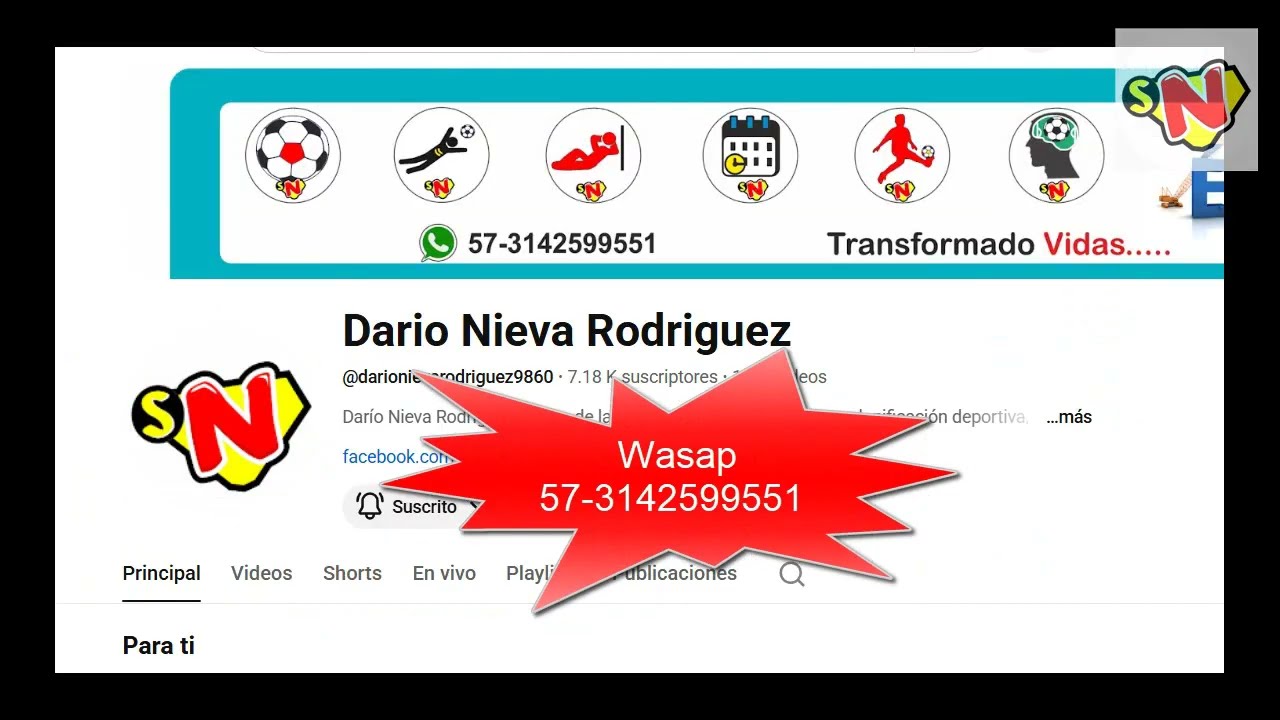 Como hacer un torneo de fútbol, hacer torneo deportivo