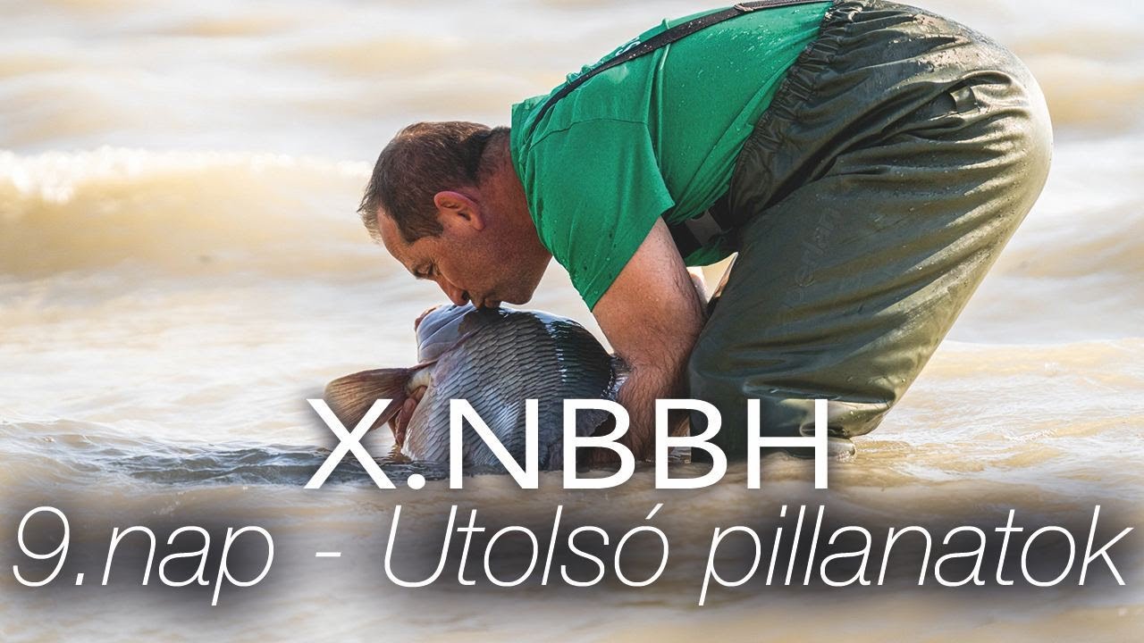 X. NBBH - Utolsó pillanatok