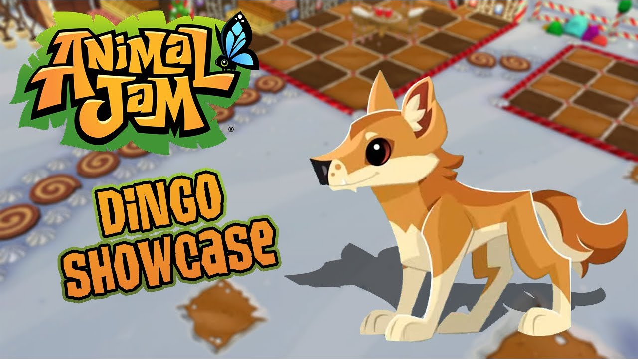 Animal Jam - Animal Showcase: Dingo