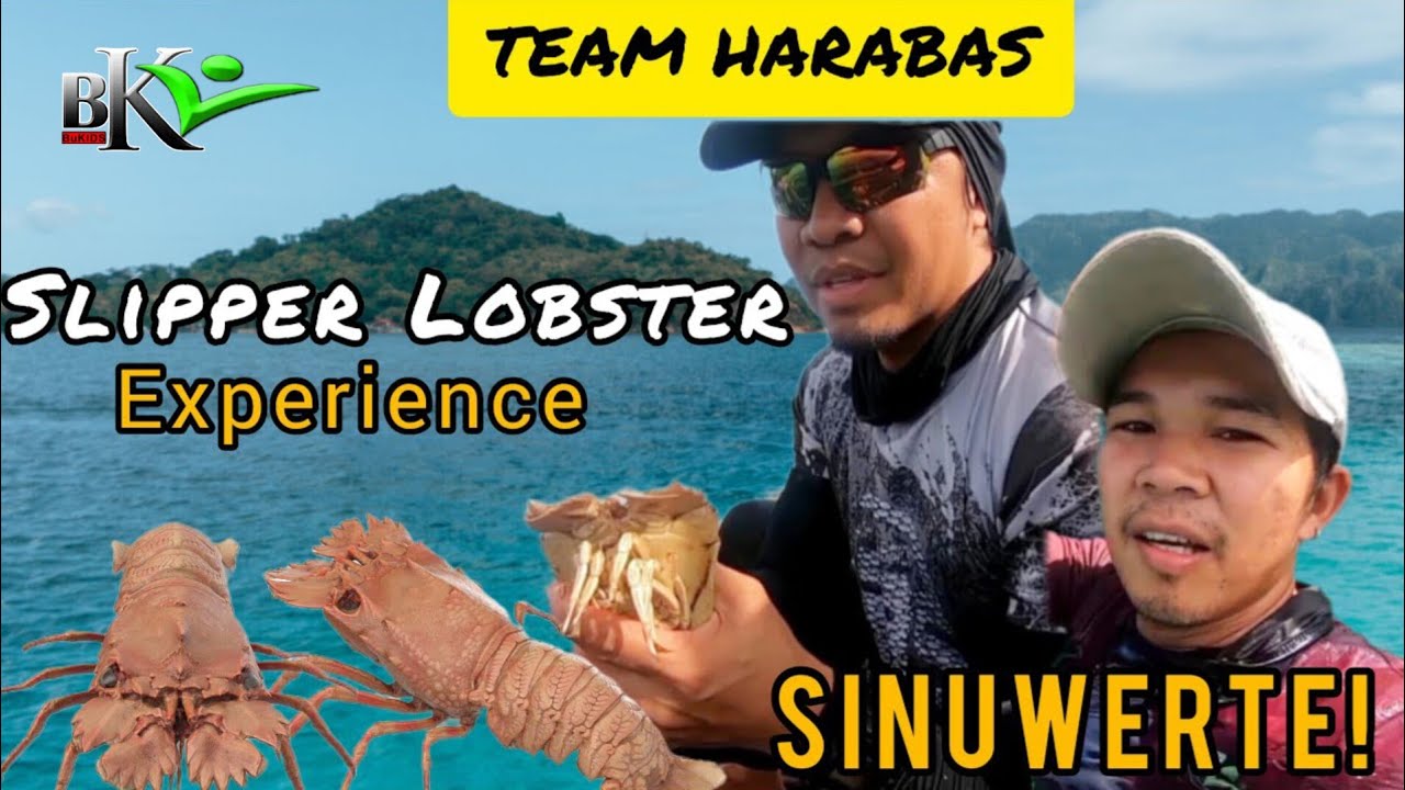 318-TEAM HARABAS SLIPPER LOBSTER EXPERIENCE NAKARAMI KAMI NG HULI | BUHAY PROBINSYA | BUKIDS