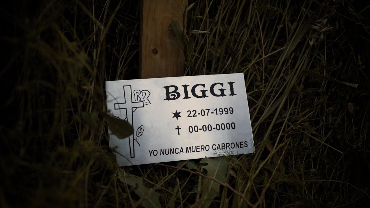 BIGGI - DINERO Y FAMA