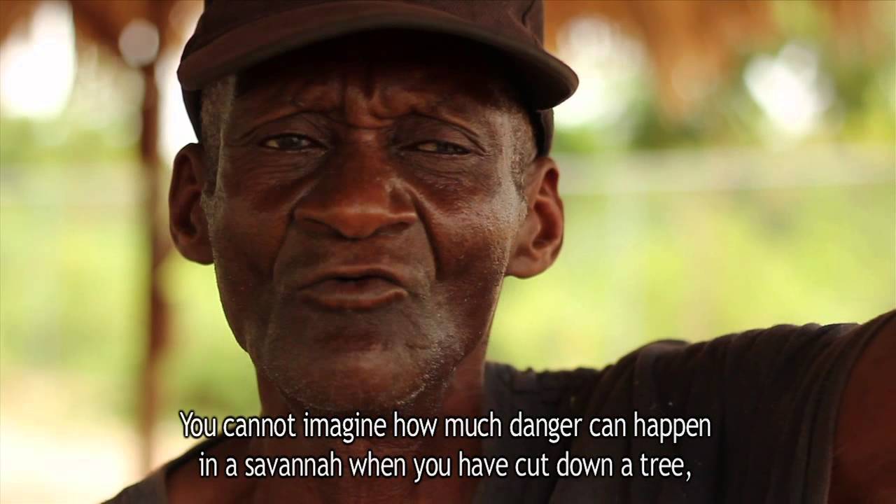 Sadhana Forest Haiti Interviews