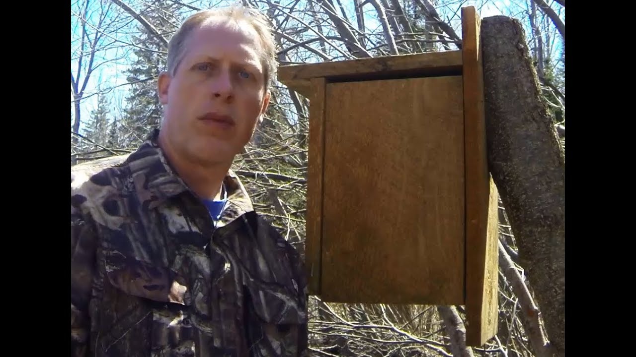 Installing a Wood Duck Box