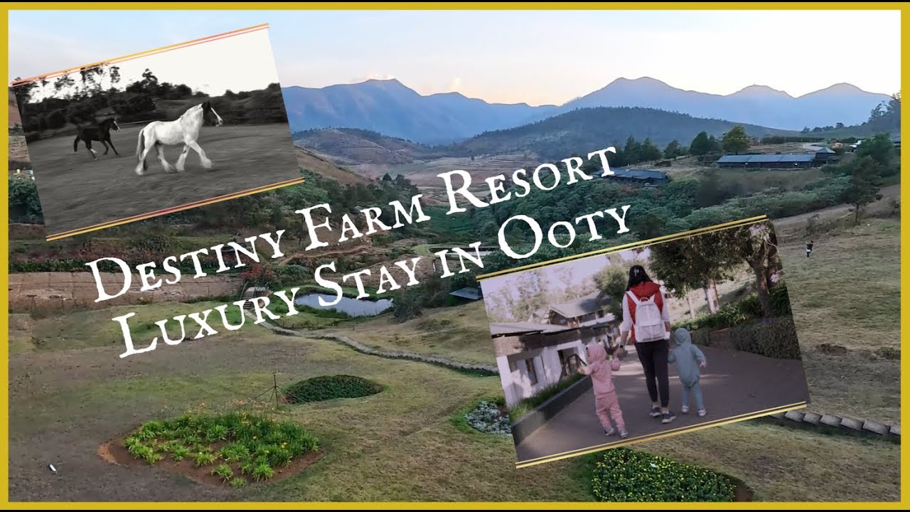Weekend Gateway from Bangalore, Ooty, Destiny Farm stay, Luxury Stay,  Best Resort in Ooty
