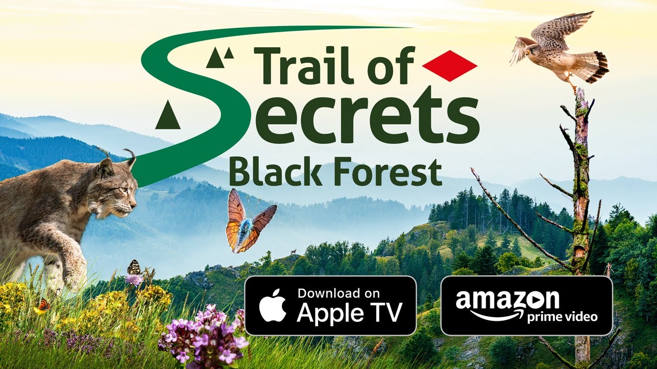 Trail of Secrets - Black Forest: Stream on Apple TV and Amazon Prime Video
