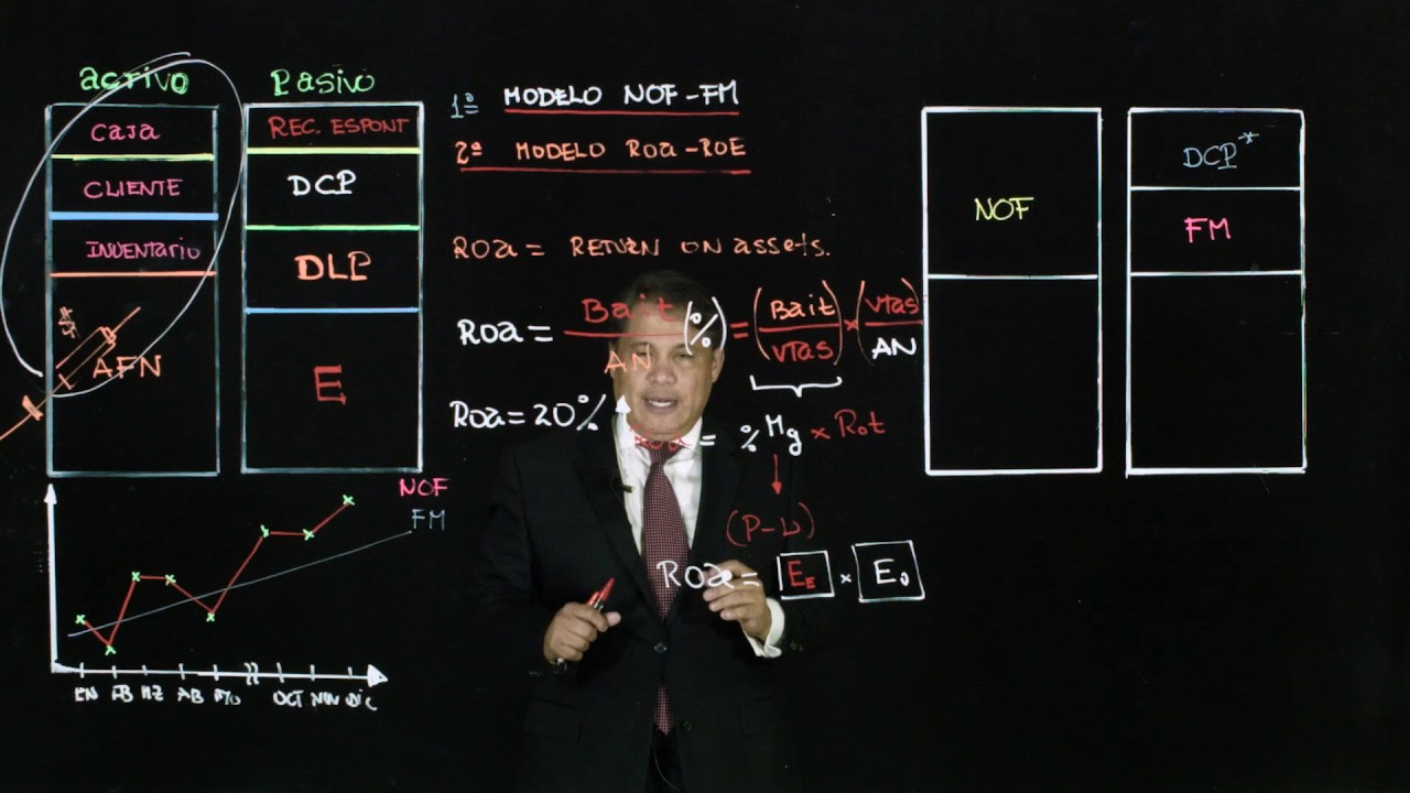 El Return on Assets  ROA  y el Return on Equity ROE