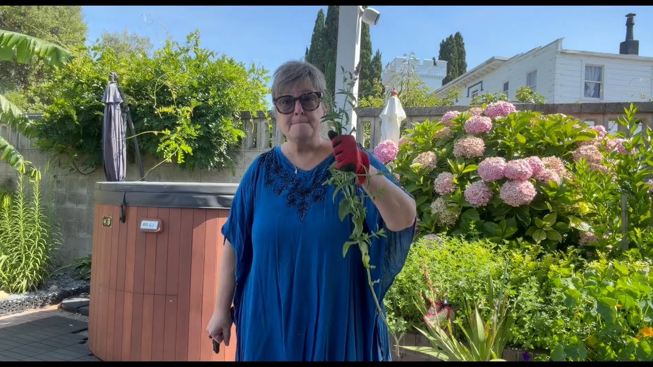 Mint should only be for Mojitos!!!  Getting the garden ready for the new owner