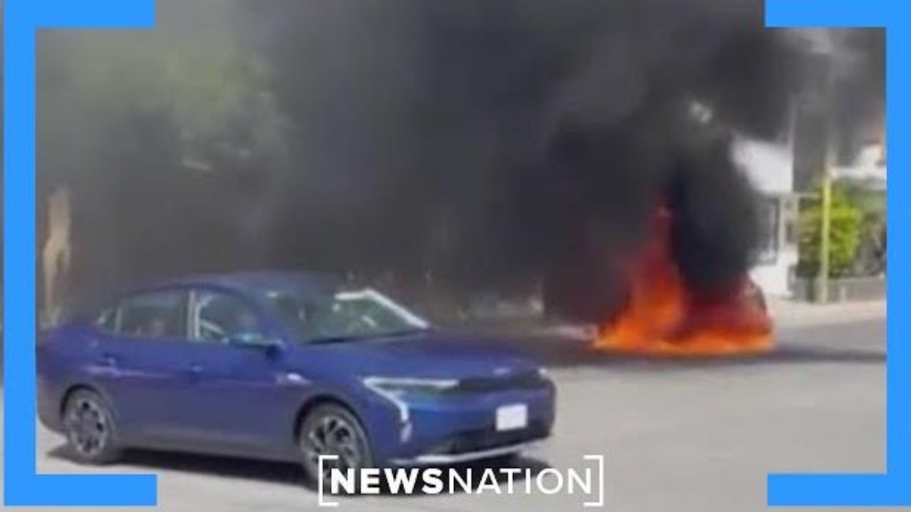 Chaos in Mexico: Stranded American feels thrown 'into a terrible movie' | NewsNation Prime
