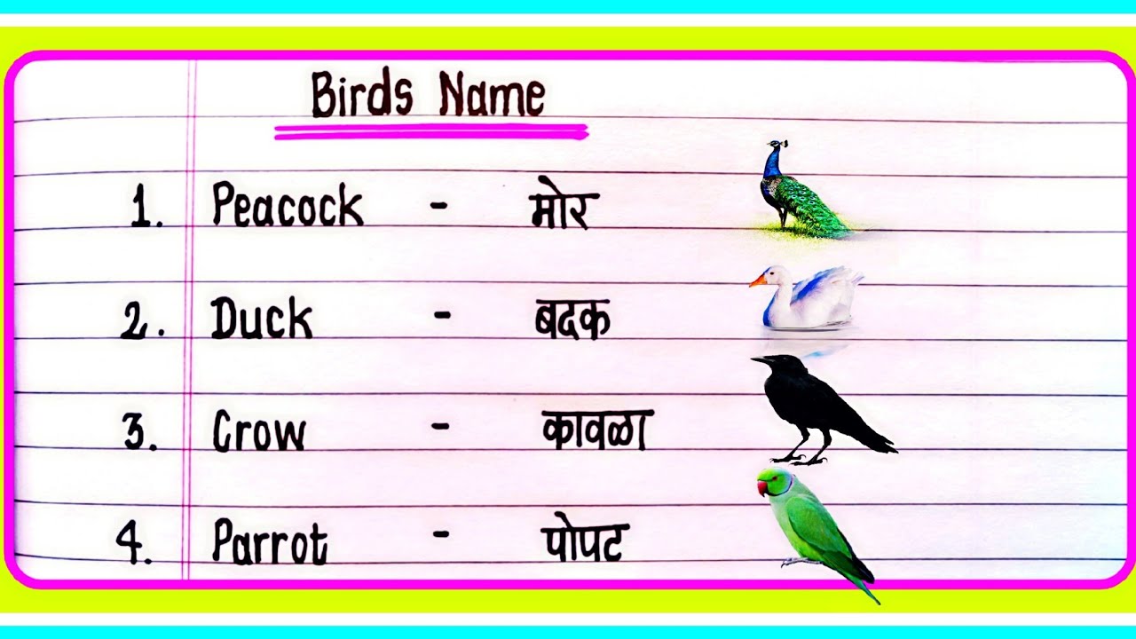 Birds Name In English and Marathi | पक्ष्यांची नावे मराठी व इंग्रजी | Pakshanchi nave