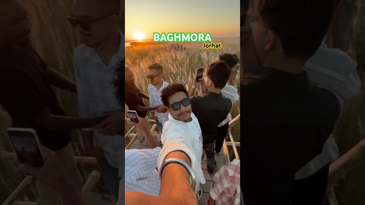 Baghmora kohuwa majot || BAGHMORA ECO CAMP Jorhat | 