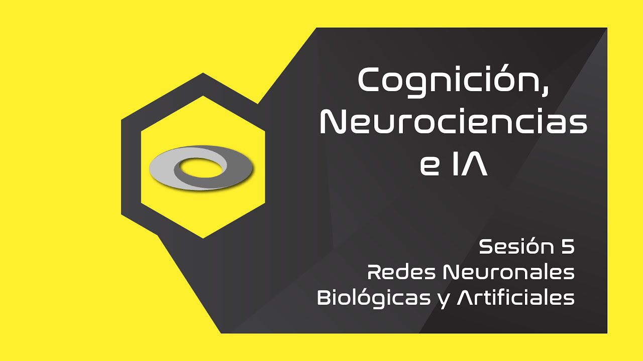 Redes Neuronales Biológicas y Artificiales. SIMULACIÓN INCLUIDA!!!