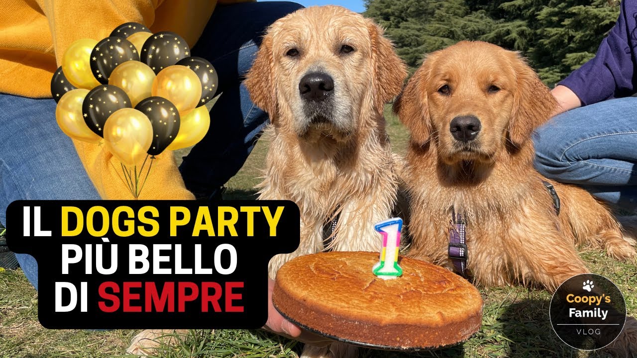 IL DOG’S PARTY PIÙ BELLO DI SEMPRE