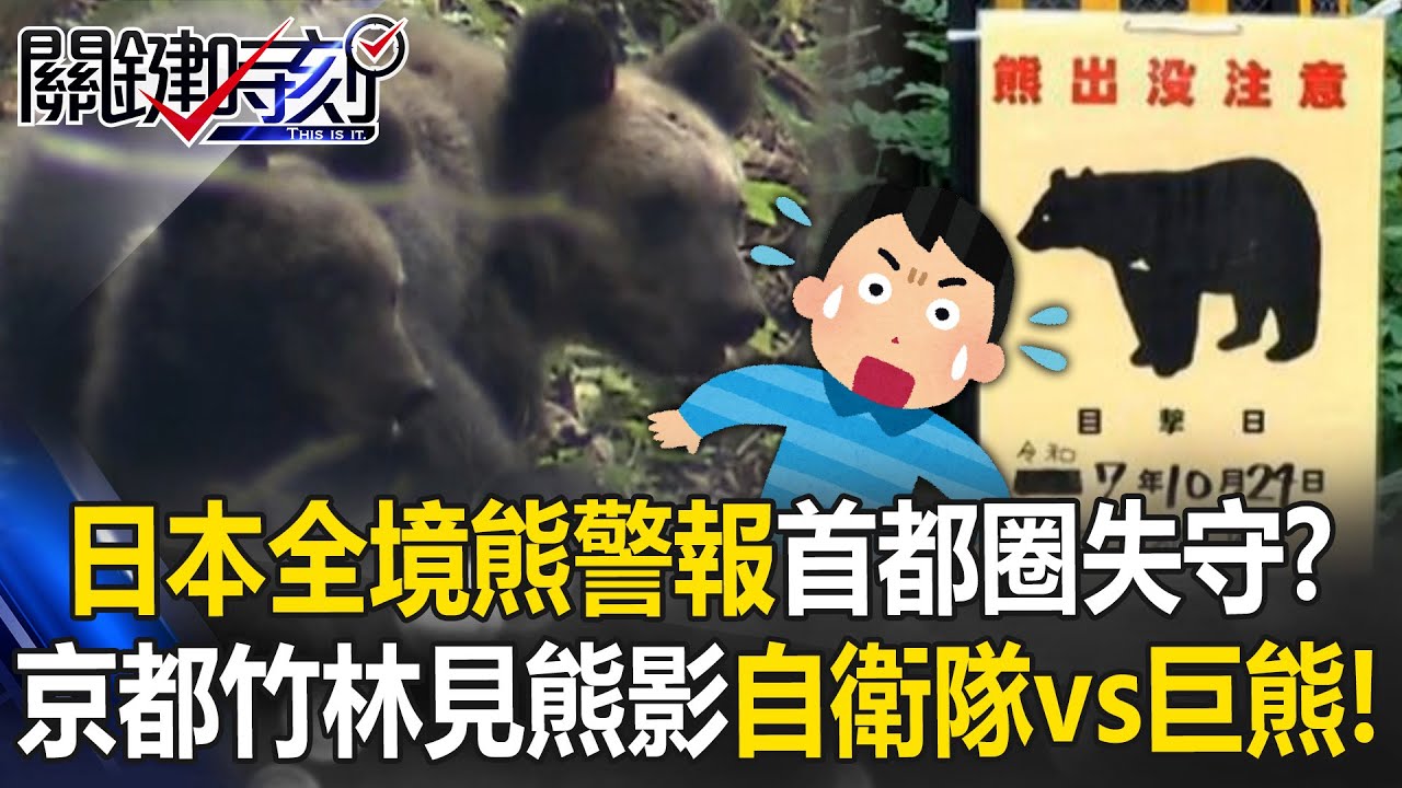 日本全境「熊警報」首都圈失守？ 京都竹林見熊影…派自衛隊VS殘暴巨熊！？【關鍵時刻】張炤和 林裕豐 王瑞德 @ebcCTime