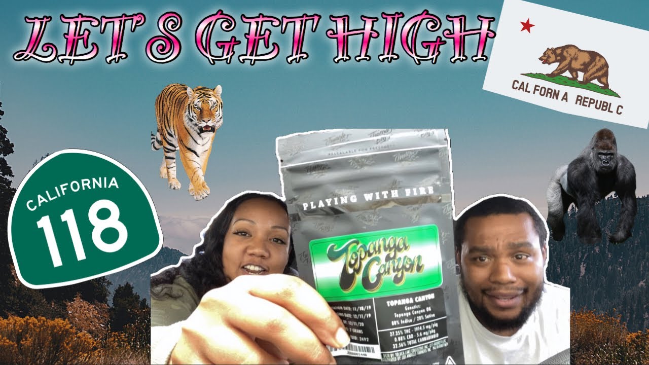 TOPANGA CANYON ~ JUNGLE BOYS 🐅 🦍| STRAIN REVIEW