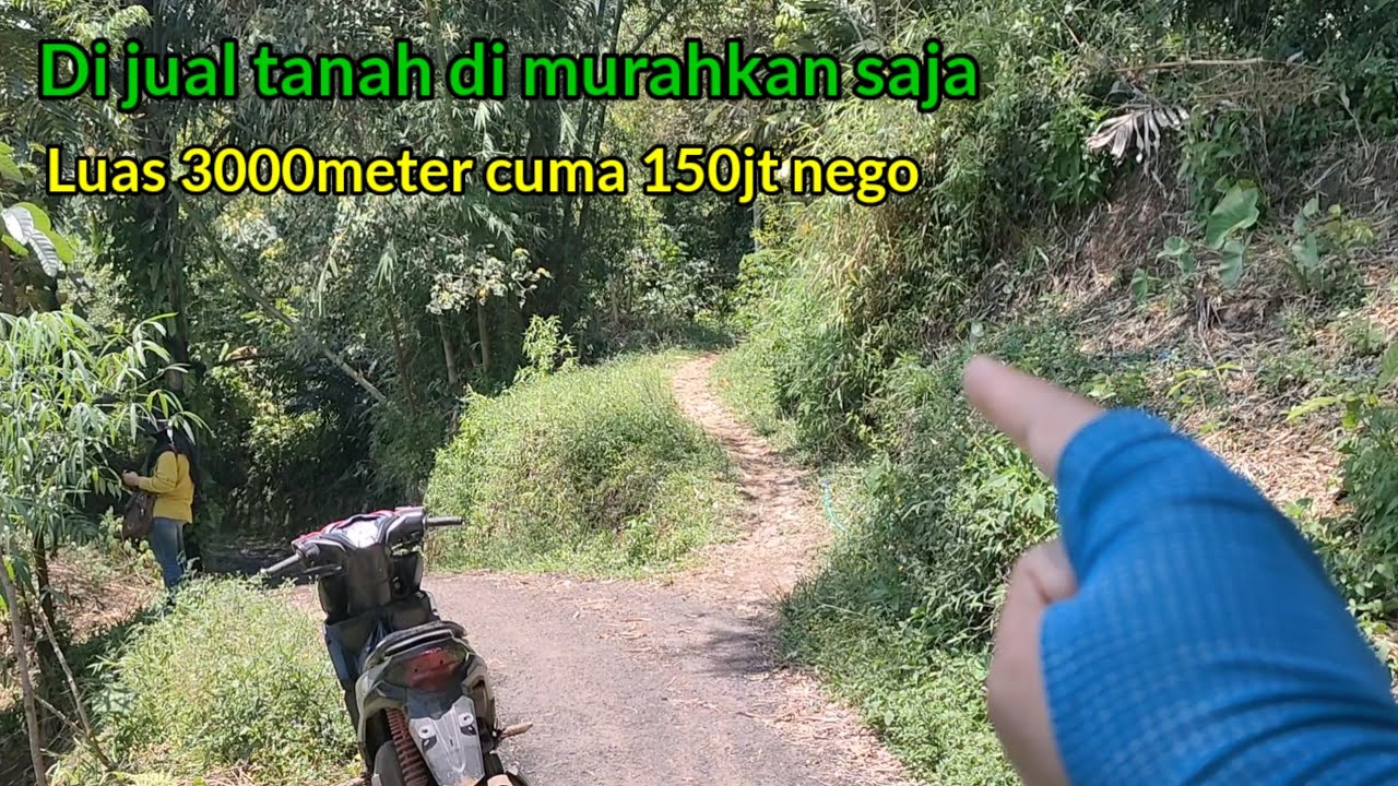 Di jual Murah ‼️ Tanah Pekarangan Luas 3000meter Harga 150jt Nego sampai jadi