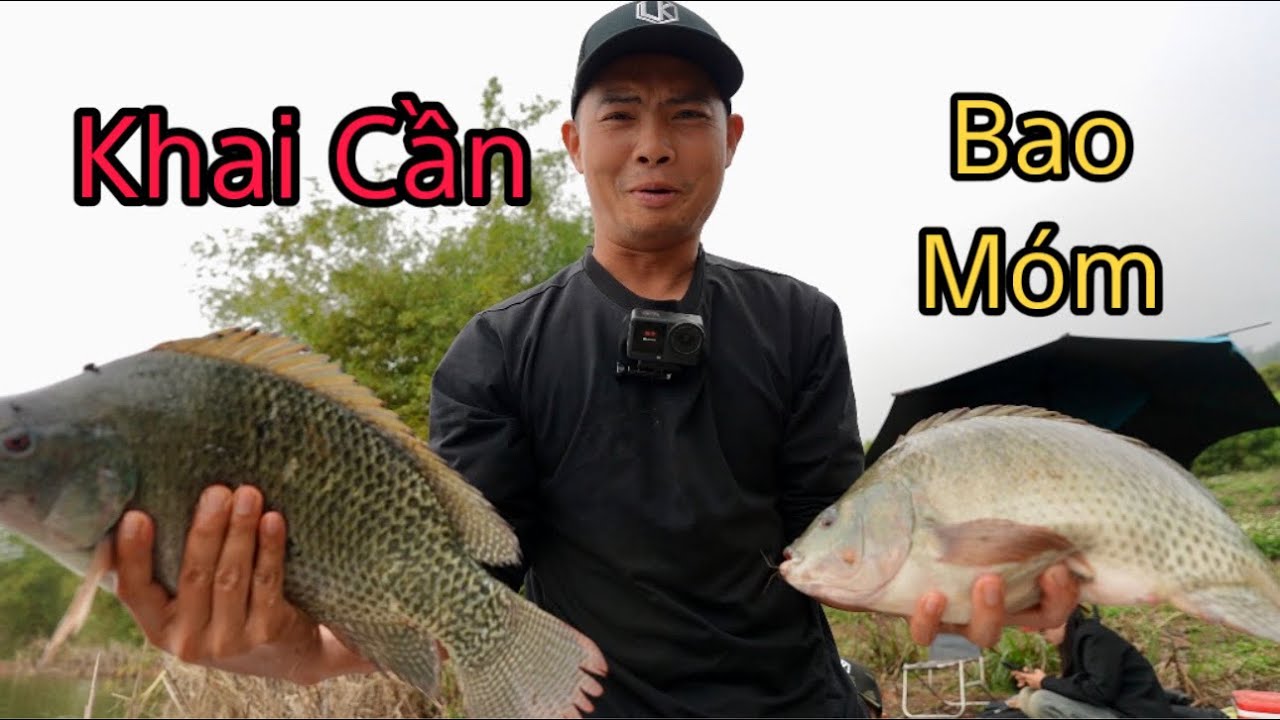 Khai Cần Đầu Năm Gặp Đàn Cá Đi Lửng - Cách Trị Cá Đi Lửng