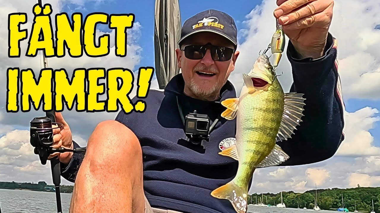 Fish und Cook Schleppangeln auf Barsch mit Rapala Shad Rap