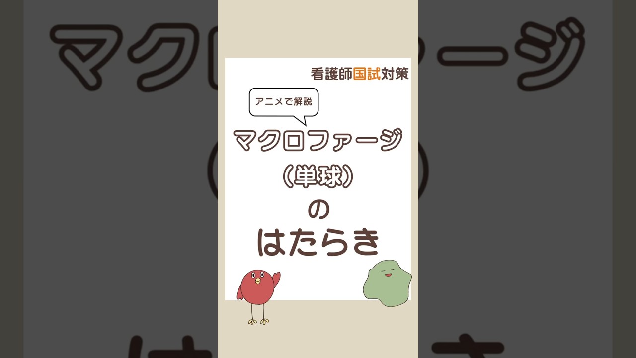 【1分アニメで解説】マクロファージの役割 #shorts #勉強 #国試対策