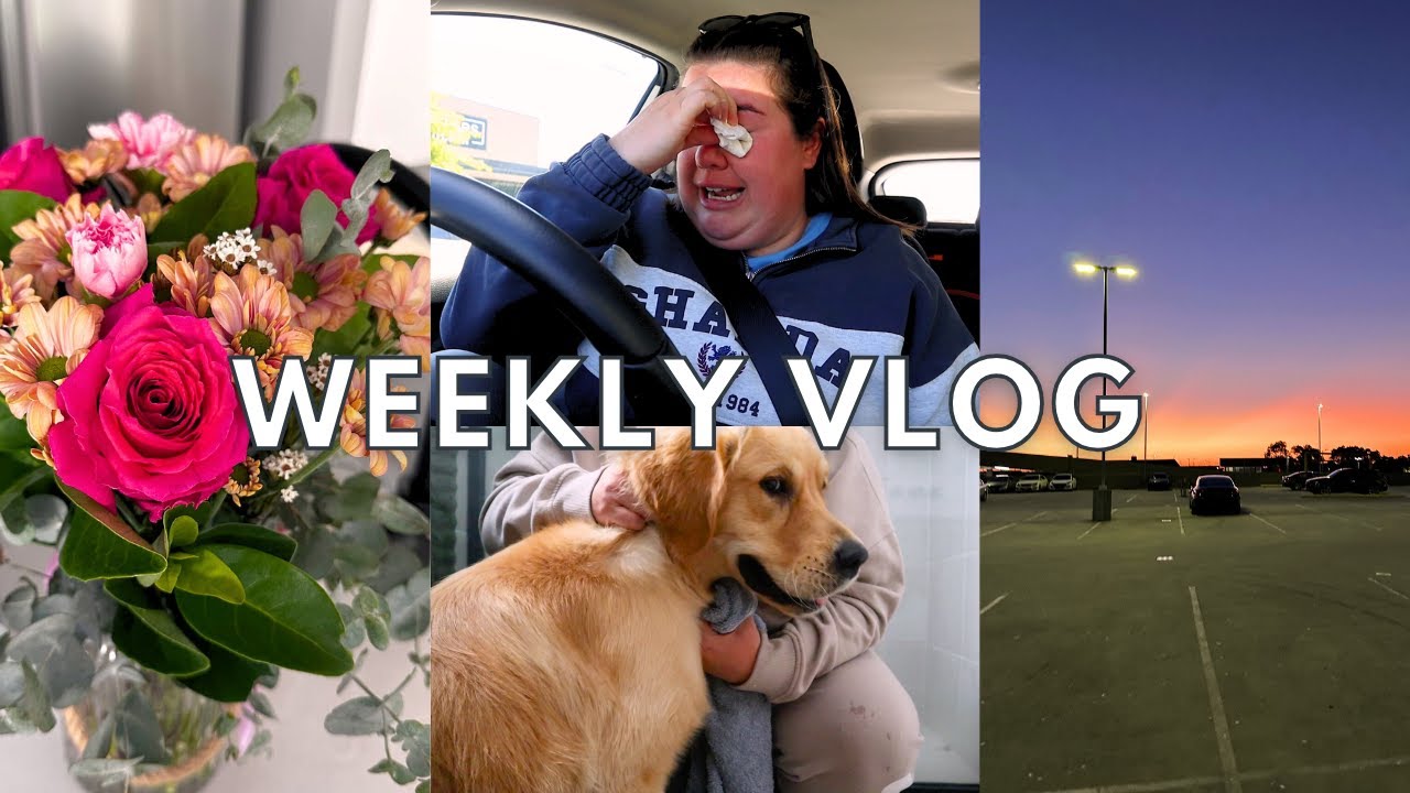 Therapy sessions & Making a big decision | Shopping | Boston Playdates | Scrapbooking!