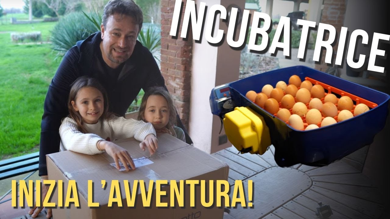 PULCINI pt. 1 - Unboxing INCUBATRICE Borotto Real 24: inizia l'avventura dei PULCINI