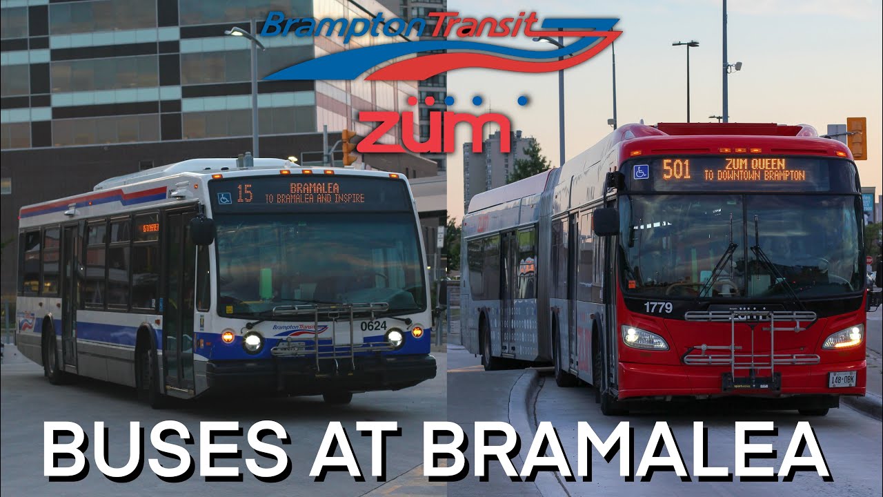 Brampton Transit + Züm buses at Bramalea Station Sunset - August 2024