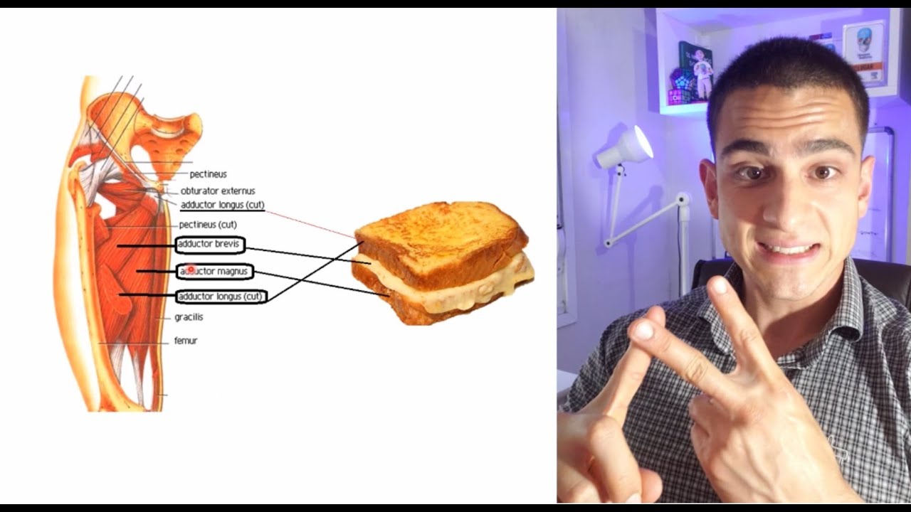 🥈DESCUBRA A SEGUNDA LESÃO MUSCULAR MAIS COMUM 🤔