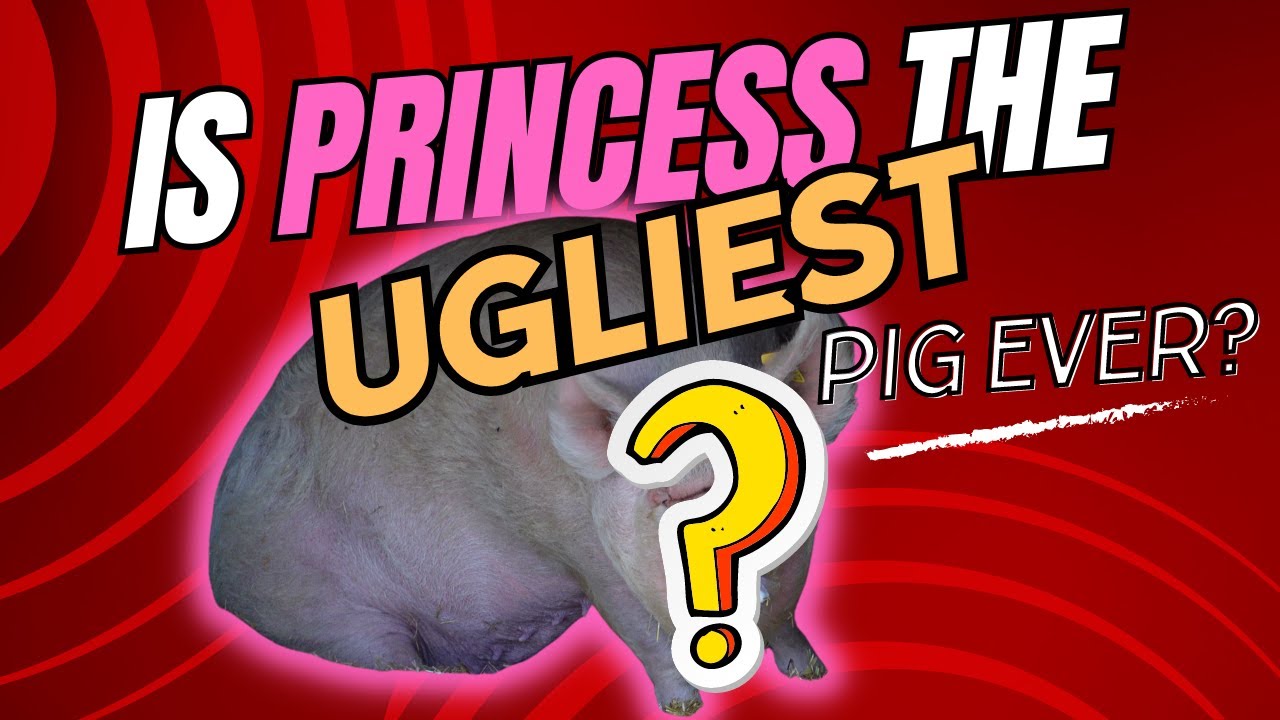 CROXTETH HALL PARK & FARM! | Are these the two UGLIEST animals on the farm?!