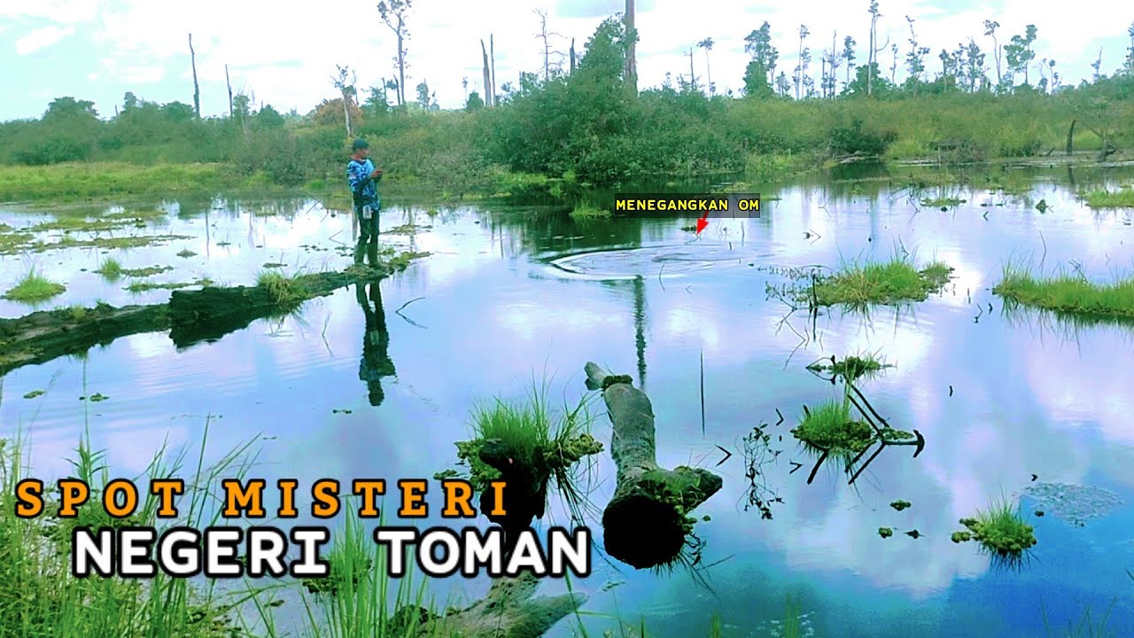 JORAN MURAH BRENIO XT DISIKSA IKAN TERGANAS