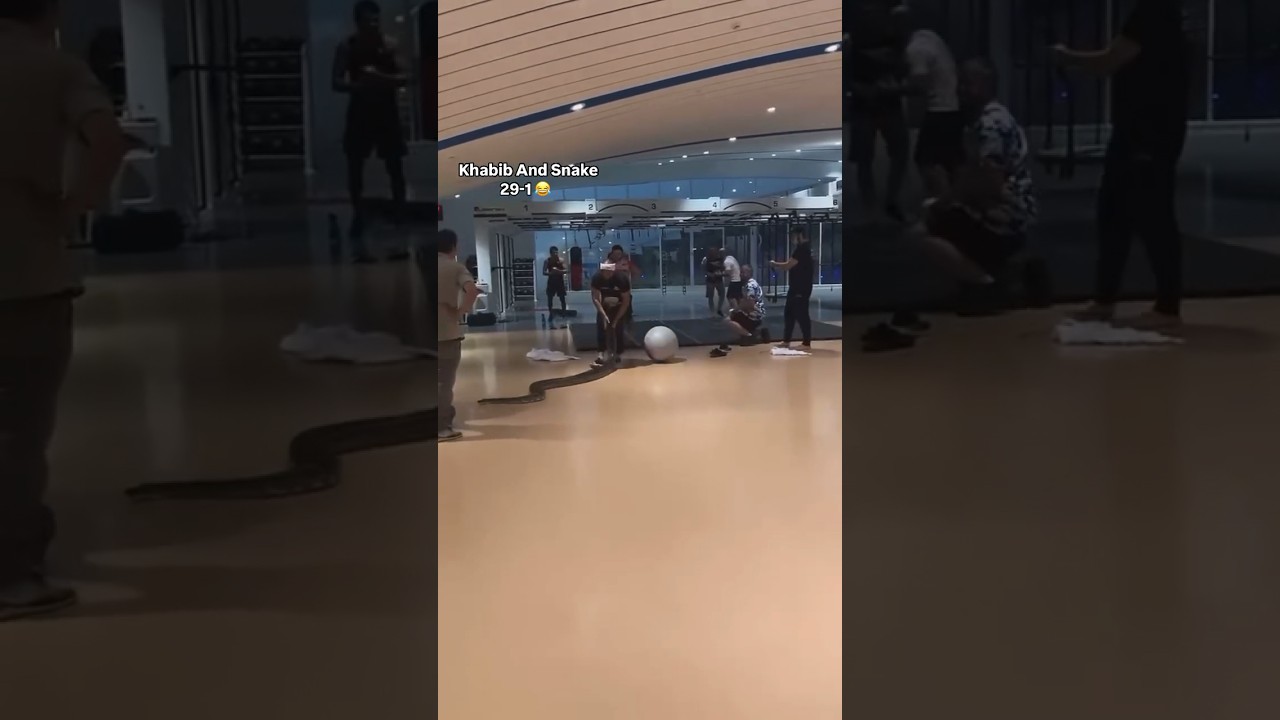 Khabib Runs from Snake | UFC Khabib vs Snake | 29-1
