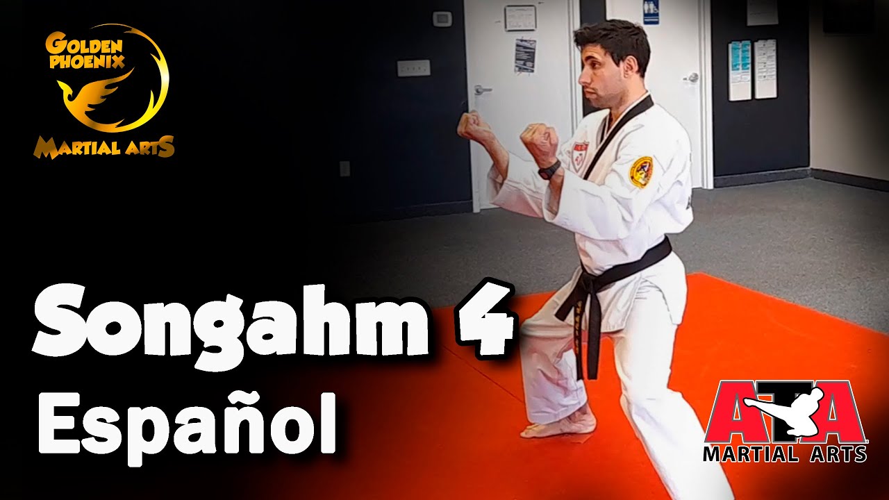Songahm 4 - Formula de cinto Camuflado - Taekwondo ATA