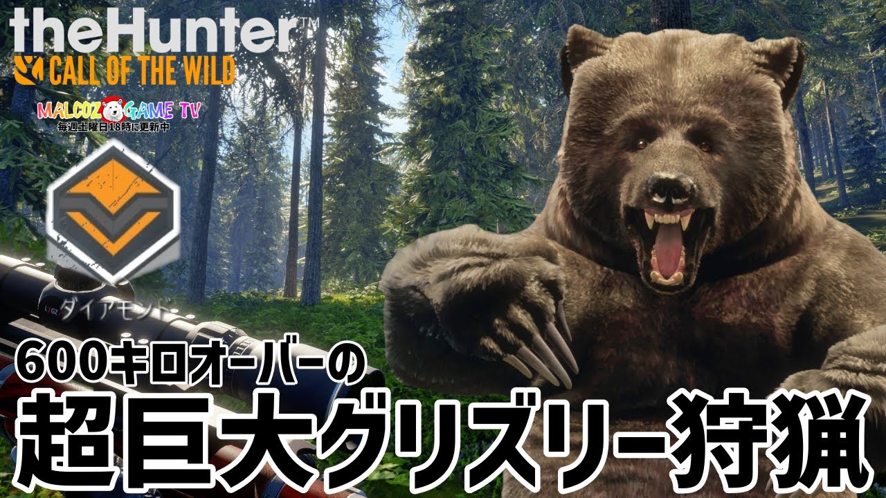 【ザハンターコールオブザワイルド】超ド級の６００キロ超えのグリズリー狩猟【theHunter: Call of the Wild 】