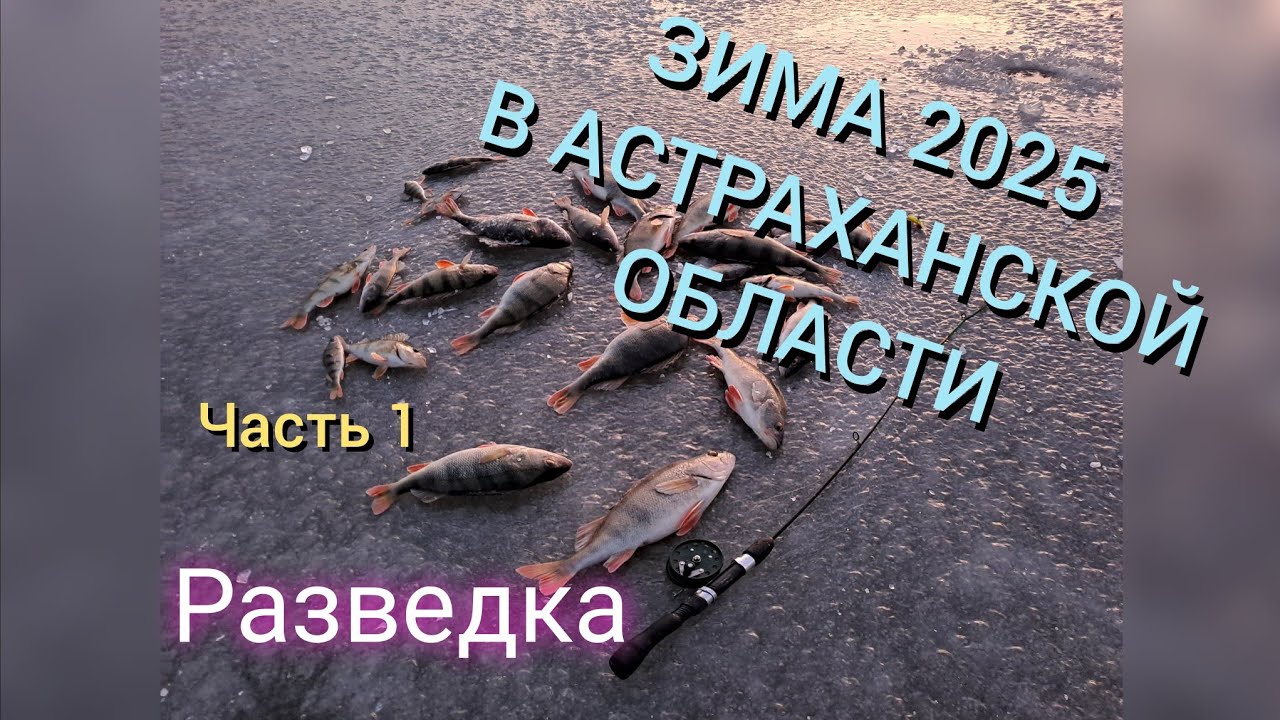 Первый лёд в Астраханской области. зима 2025