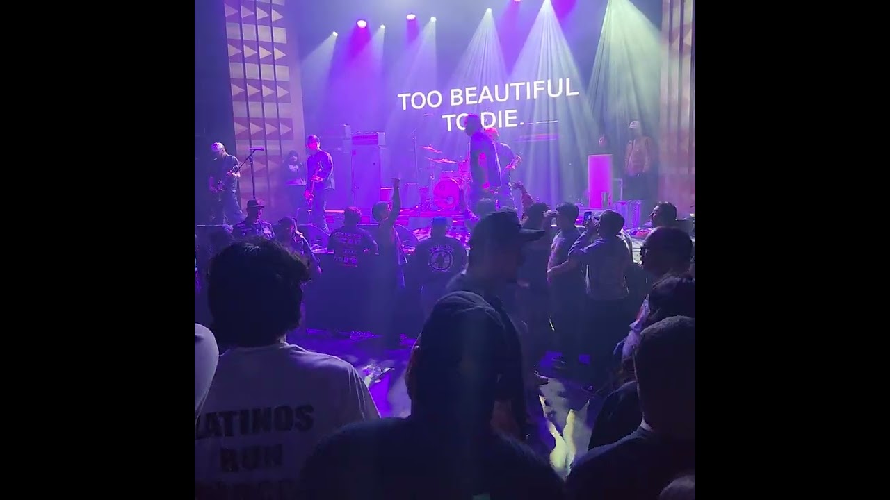 THE BEAUTIFUL ONES live at The REGENT DTLA, 1/07/26 FULL CLIP #crowdkiller #live #moshpit #hardcore 