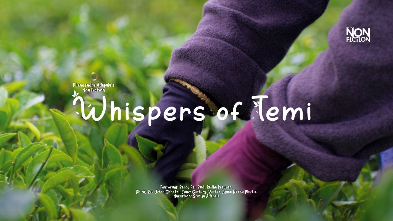 The Last of Its Kind: Inside Sikkim’s Only Organic Tea Estate| Full Documentary |Project Non Fiction