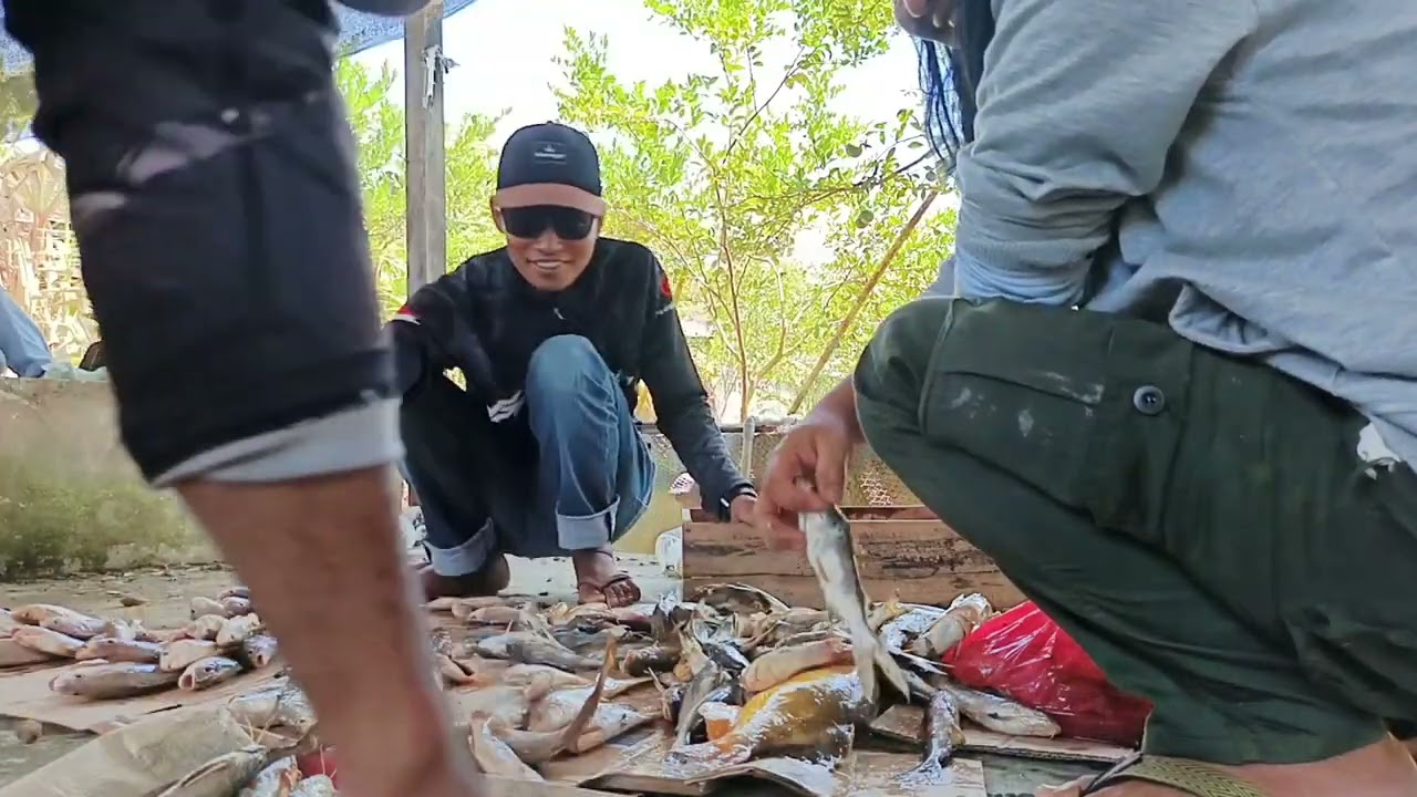 Berbagi hasil yg melimpah