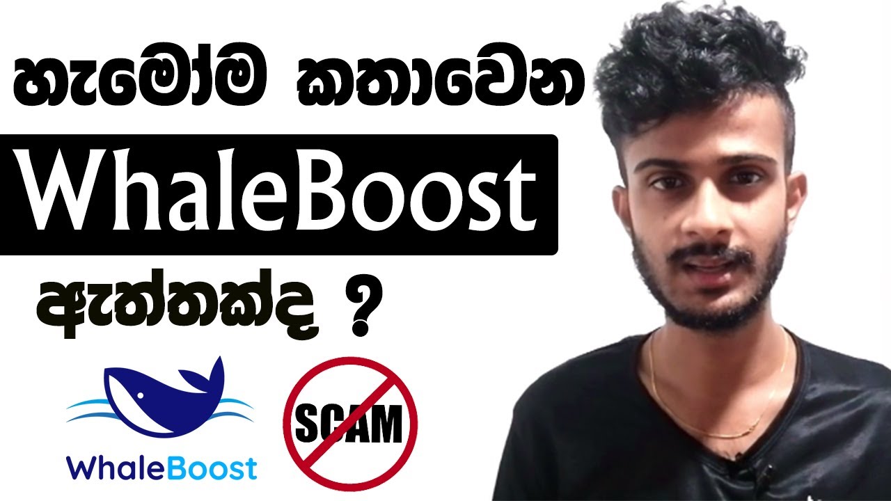 WhaleBoost Scam or Not ? | Can Earn Money From WhaleBoost ? | WhaleBoost Sinhala