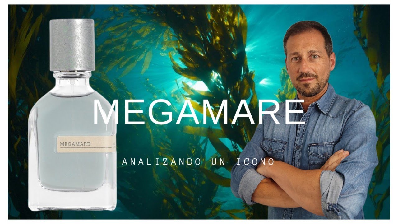 MEGAMARE, analizando un icono.   verdaderamente MEGA?   verdaderamente MARE?