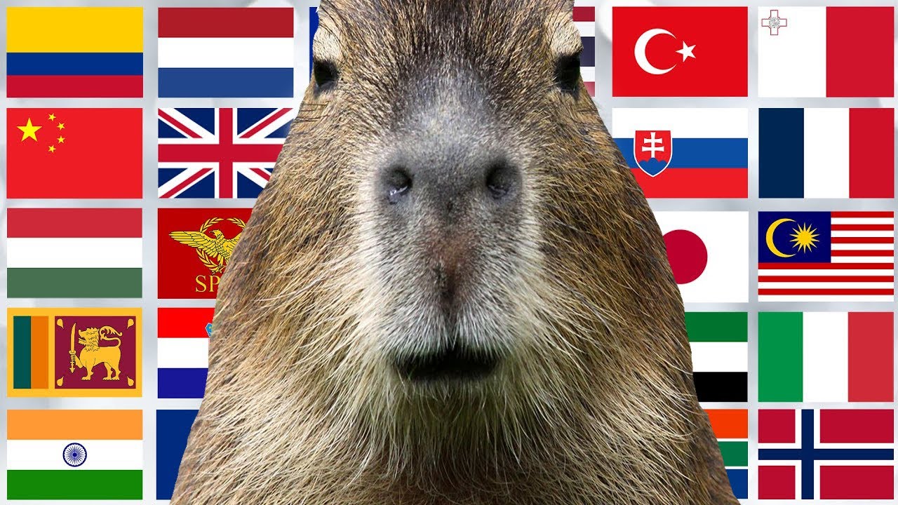 Capybara in 60 Languages