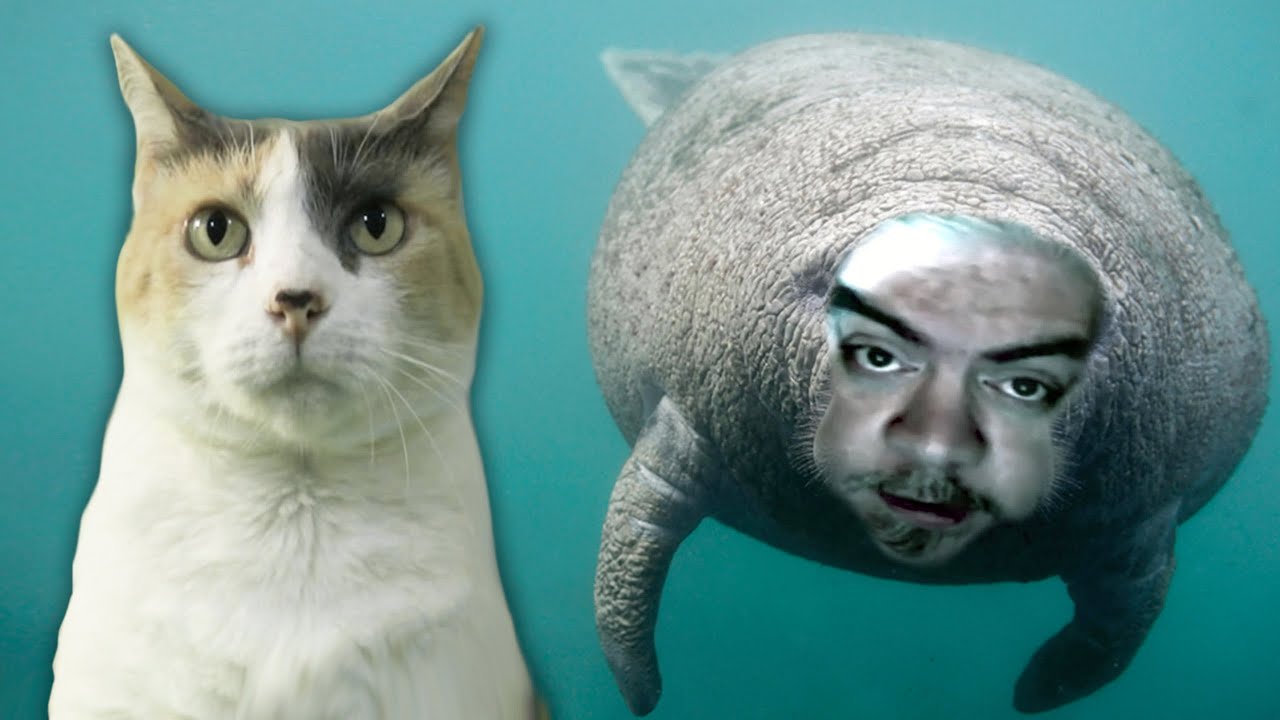 Brett Keane's Very Murderous Death Situation!