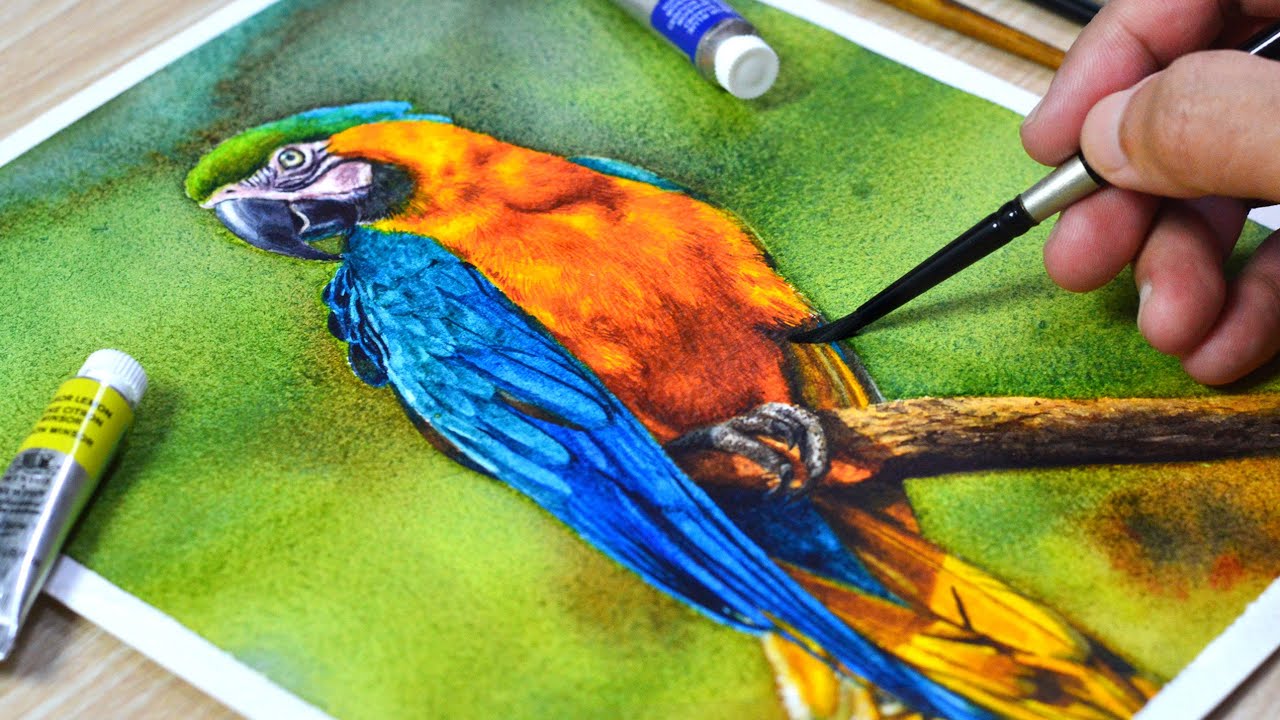 Painting a Blue & Gold Macaw in Watercolor