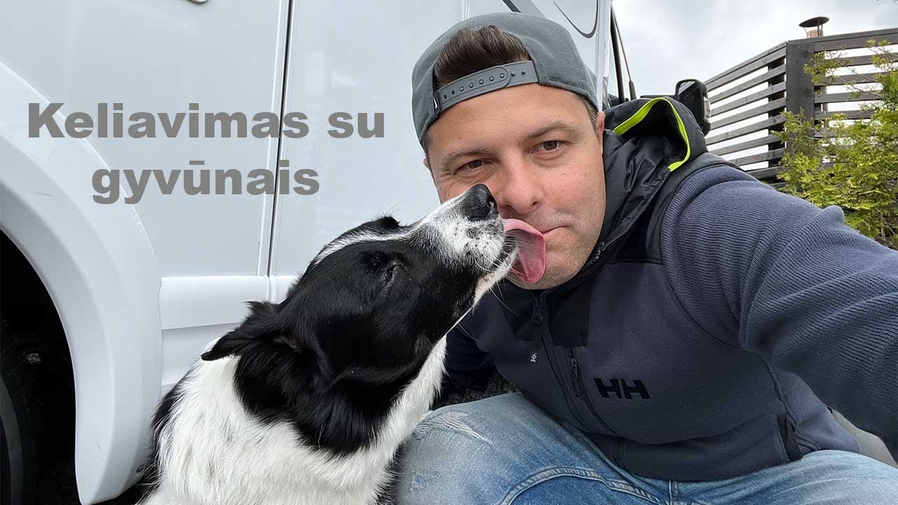 Keliavimas su gyvūnais kemperyje