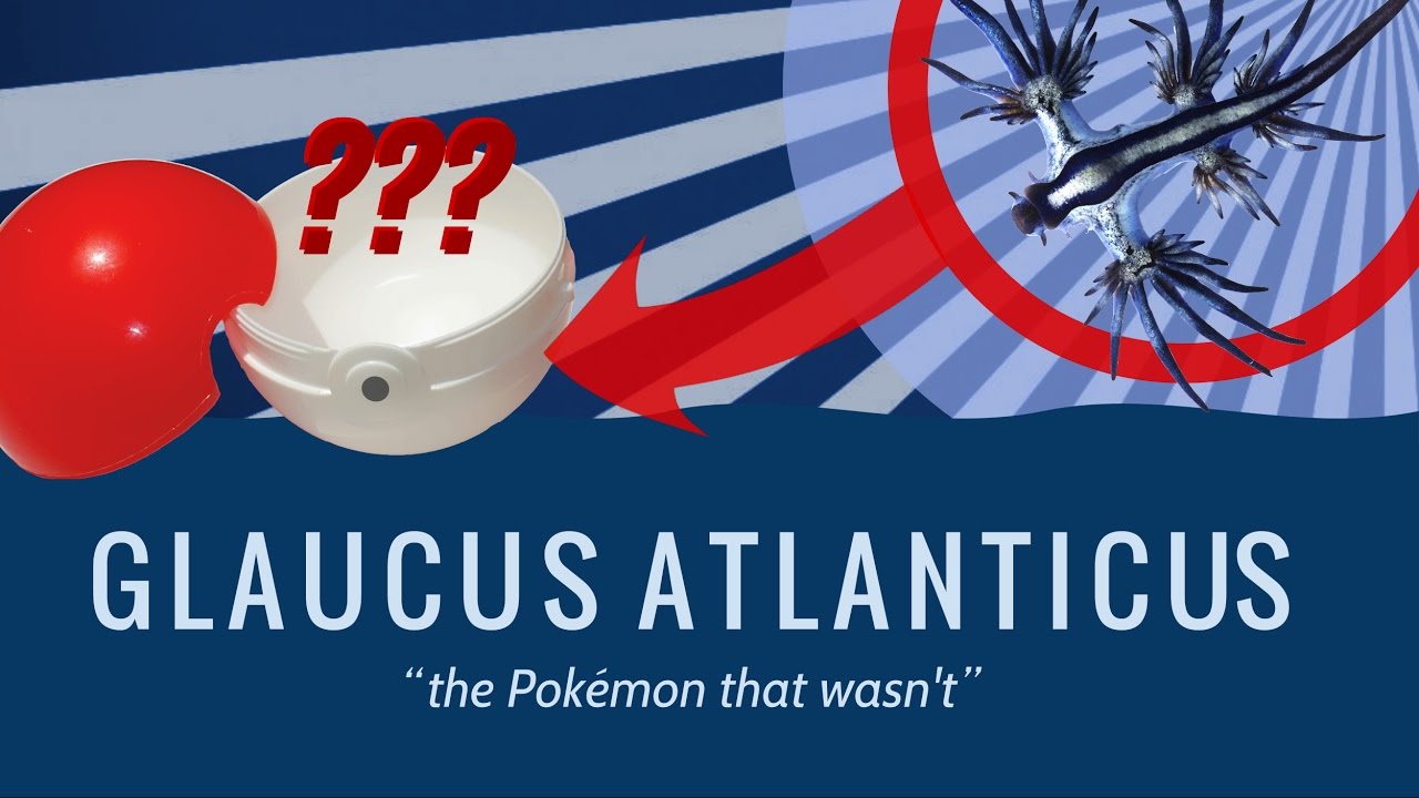 Glaucus Atlanticus: The Pokemon That Wasn't
