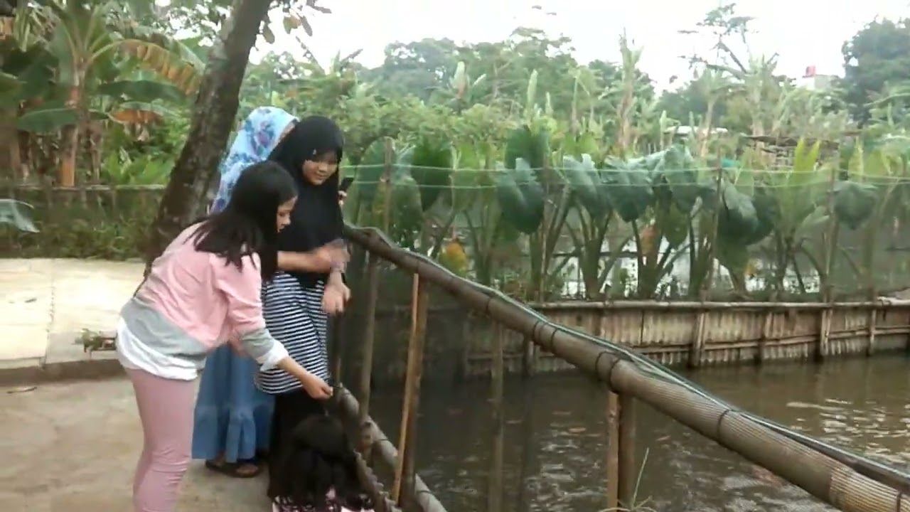 LIBURAN ....PONAKAN KE RUMAH VELONIA GUNUNG SINDUR , BOGOR, LIHAT IKAN DI KOLAM EMPANG